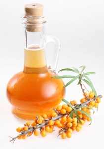 Sea Buckthorn Oil and Vine of Berries