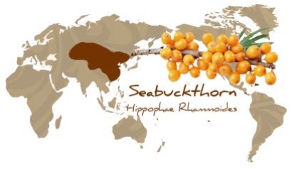Sea Buckthorn Health Benefits, Seabuckthorn Oil | Seabuck Insider